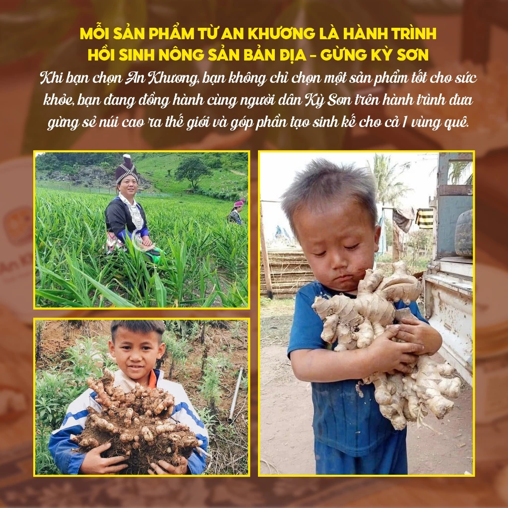 VIÊN NGẬM GỪNG AN KHƯƠNG