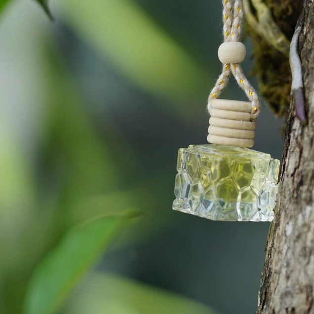 TINH DẦU GỪNG TREO XE Ô TÔ AN KHƯƠNG 10ML