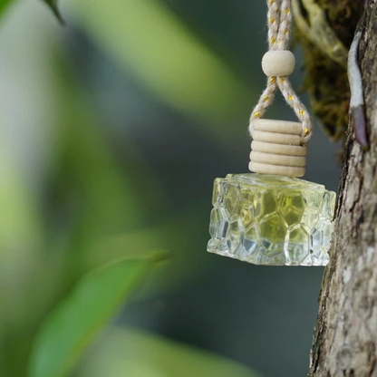 TINH DẦU GỪNG TREO XE Ô TÔ AN KHƯƠNG 10ML