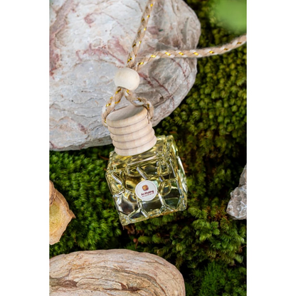 TINH DẦU GỪNG TREO XE Ô TÔ AN KHƯƠNG 10ML